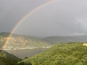 Ferienwohnung Rheinblick